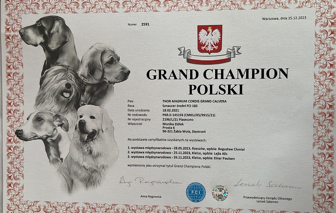 Zdjęcie główne