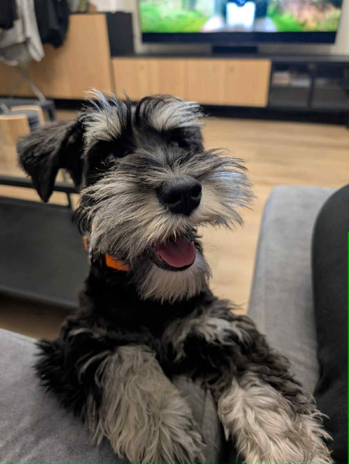 LANDO