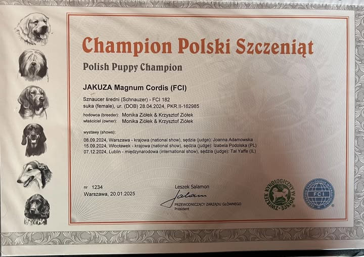 Zdjęcie główne