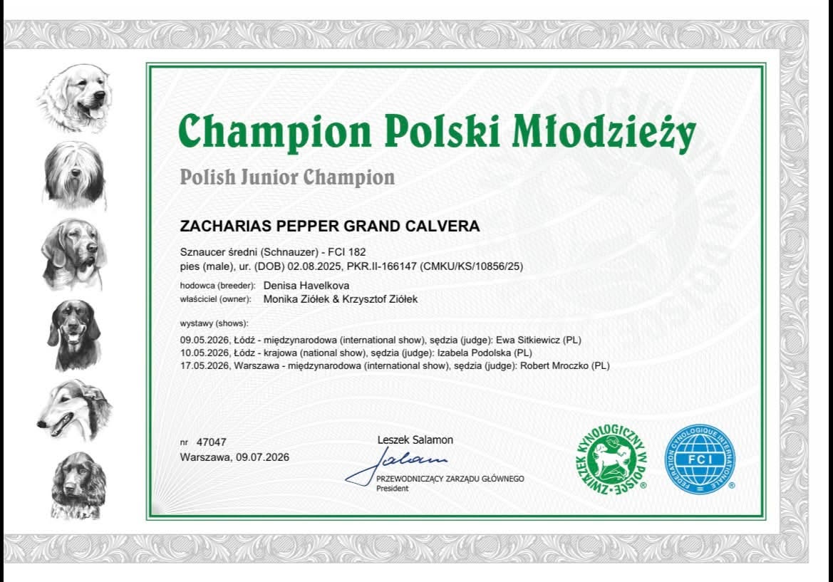 Zdjęcie główne