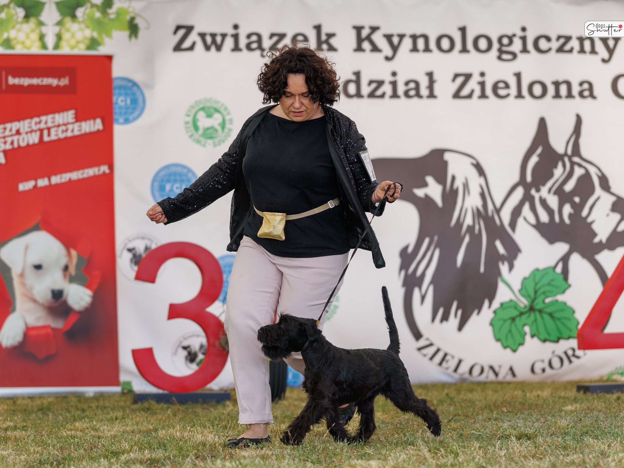 Zdjęcie główne