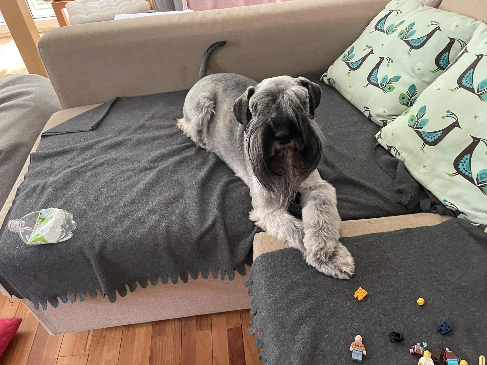 Enzo
