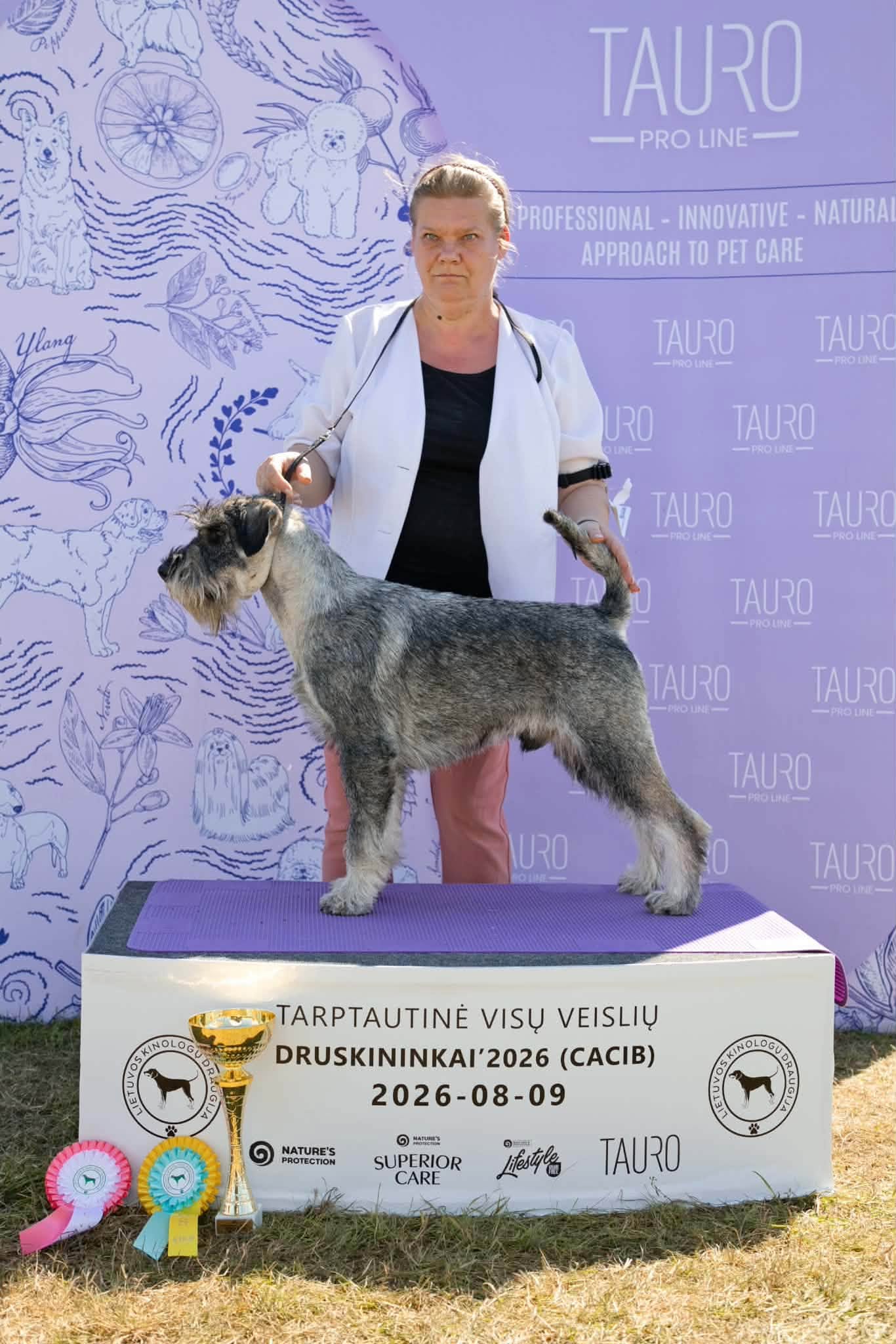 Zdjęcie główne