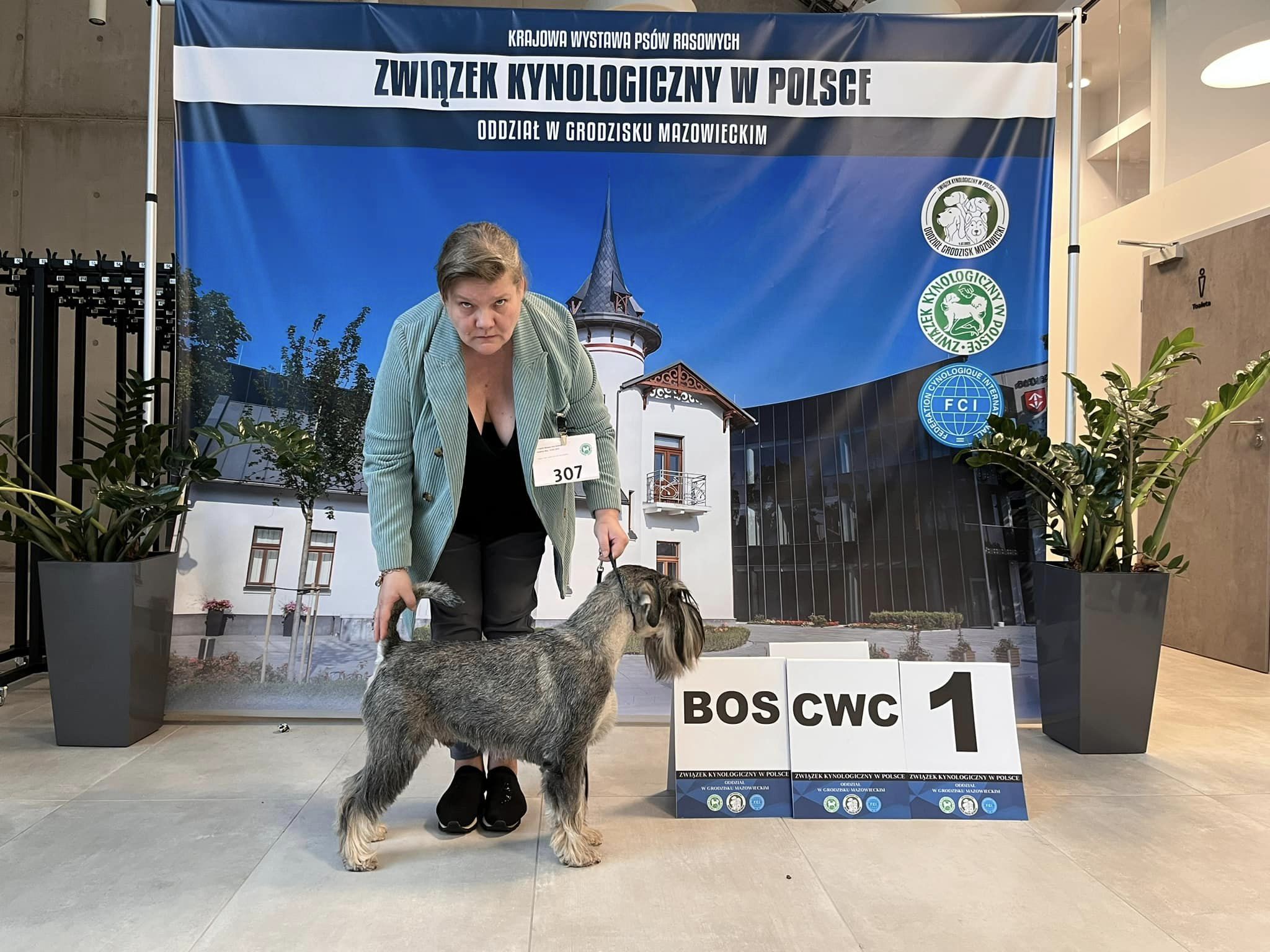 Zdjęcie główne